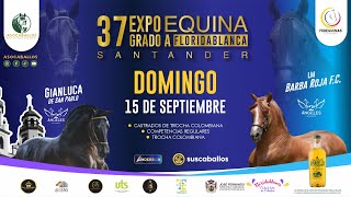 37º EXPOEQUINA GRADO A FLORIDABLANCA  SANTANDER 2024  DIA 2  TROCHA COLOMBIANA [upl. by Avat597]