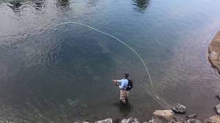 Spey Casting Skagit lines Basic and Advanced Skagit Casting Techniques [upl. by Mcgaw]