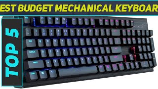 Top 5 Best Budget Mechanical Keyboard in 2024 [upl. by Irap257]