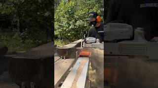 Black Walnut Slabs Perfect for DIY Projects [upl. by Anirual97]