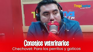 Los mejores consejos veterinarios [upl. by Dart]