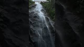 😍subscribeyoutubeshortsnaturewaterfallnaturephotographyshortsshortfeedytshortsviralshorts [upl. by Isnan]