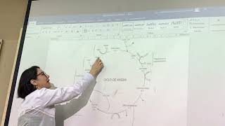 Bioquímica metabolismo de lipídios [upl. by Attevaj]