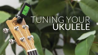 How to Tune your Ukulele Beginners Guide [upl. by Kati370]