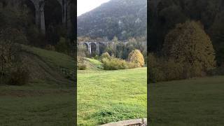 Manastir Ćelije priroda nature monastery монастырь serbia manastirćelije viral trending [upl. by Hnacogn]