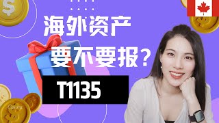 【TAX 55】税局警告！海外资产漏报晚报风险揭示！ 海外资产到底要不要报？不报会有哪些风险？  资产转移 加拿大海外资产申报  价值1000 的视频  一定要收藏！！ [upl. by Eerahc]