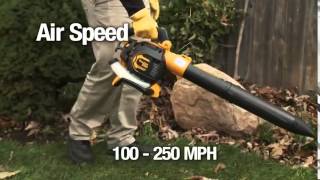 Best Leaf Blower Buying Guide [upl. by Aliahs109]