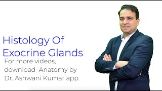 Histology of Exocrine Glands  Anatomy [upl. by Akimaj]