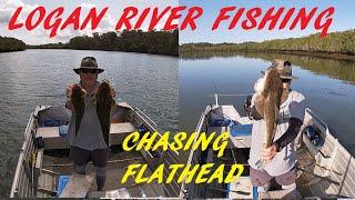 LOGAN RIVER FISHING CHASING FLATHEAD 10TH AUG 2024 [upl. by Angelia]