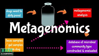 Metagenome  Metagenomics  Metagenomics Workflow [upl. by Burnside]