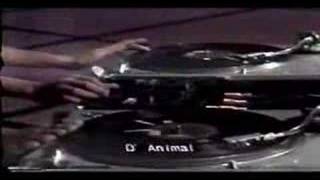 DJ OMAR D ANIMAL 91 dmc phil finals [upl. by Aihsiym620]