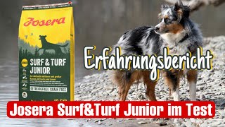 Hundefutter Test  Trockenfutter  Surf amp Turf JUNIOR [upl. by Ysac850]