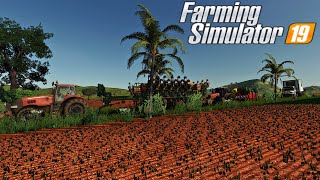 FARMING SIMULATOR 19 EP11 FINALIZANDO A SOJA FAZ BOM JESUS [upl. by Halvaard]