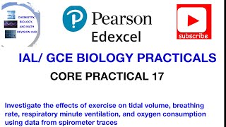 Spirometer traces ventilation rate Core practical 17 [upl. by Adnolrehs186]