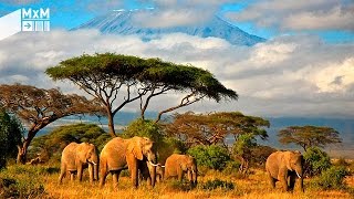 Madrileños por el mundo Tanzania un país que anima a la aventura [upl. by Ophelie]