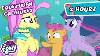 Discover the Creatures of Equestria🐉🦓🧜‍♀️  2 HOUR  My Little Pony Friendship is Magic [upl. by Nahtal]