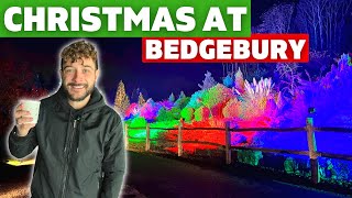 We Visit Christmas At Bedgebury  Kents BEST Light Trail 🎄 [upl. by Chrystel402]