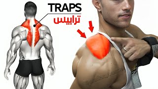 9 BEST EXERCISE TRAPEZIUS WORKOUT 🔥 [upl. by Epner341]