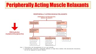 25 Peripherally Acting Muscle Relaxant  Skeletal Muscle Relaxants  Audio Classification of Drugs [upl. by Suruat]