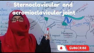 Sternoclavicular and acromioclavicular joints features  ligaments  movements [upl. by Anasiul123]