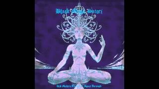 Acid Mothers Temple and Space ParanoidBlack Magic Satori [upl. by Borden66]