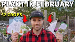 32 Veggies You Can Plant In February RIGHT NOW [upl. by Ytak377]