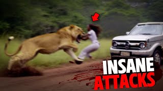 The Most INSANE Big Cat Attacks MARATHON [upl. by Yelrah]