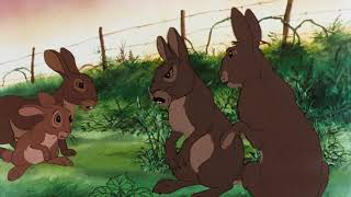 Watership Down 1978 [upl. by Malanie575]