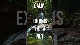 Daily Scripture Verse  Exodus 1414 NLT bible scripture jesus shorts [upl. by Jaret]