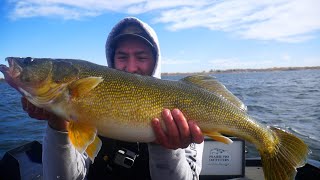 I CAUGHT A NEW PB  fall walleye fishing [upl. by Correy519]