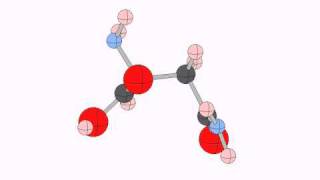 asparagine [upl. by Eirrej]