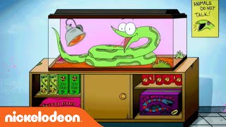 Sanjay and Craig  Official Theme Song  Nick [upl. by Riella]