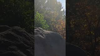 Weekend hiking 🚶‍♂️ 💕 🙌 Yonah mountain ⛰️  shortvideo nature kids [upl. by Fulcher679]