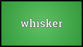 Whisker Meaning [upl. by Zerdna]