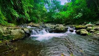 Relaxing small Waterfall Flowing Nature Sounds enhance focus for studying promote restful sleep [upl. by Hershell]