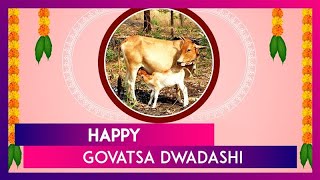 Govatsa Dwadashi 2024 Wishes Greetings And Beautiful Images To Celebrate Vasu Baras [upl. by Crandale]