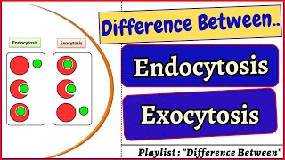 Difference between Endocytosis and Exocytosis cell cells biology bivkedar [upl. by Leighton]