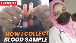 How i collect blood sample  iRishabhSaab the nurse anila shahzadi [upl. by Aicirtan354]