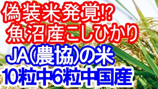 驚愕の結果「JAの米」に産地偽装の疑い…10粒中6粒中国産！？ [upl. by Mihsah425]