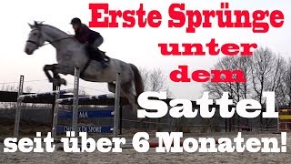 Erste Sprünge nach VERLETZUNG  MA Chevaux De Sport [upl. by Odlanar532]