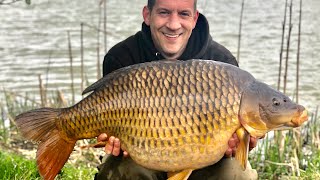 Coking Farm Oak Lake HUGE COMMON CARP CAUGHT [upl. by Netsruk]