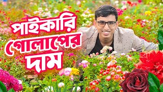 বিদেশি গোলাপের পাইকারি দাম জানুন  গোলাপের চারার দাম কত   Sprouts BD [upl. by Corenda315]