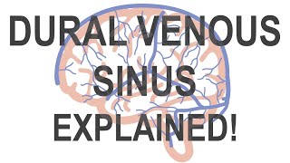 Dural Venous Sinus [upl. by Ahtela]