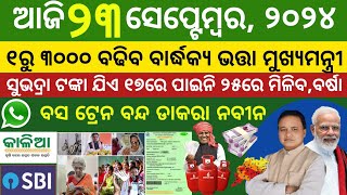 Todays morning news odisha 23 September 2024 kalia yojana moneyaawas plusnyc gov jobTop10news [upl. by Garrek]