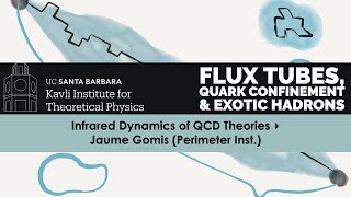 Infrared Dynamics of QCD Theories ▸ Jaume Gomis Perimeter Inst FLUXTUBEC22 [upl. by Tiffi]