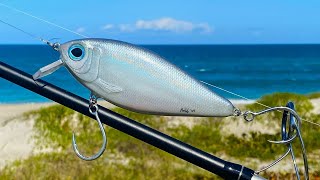 Taking My Pilchard CrankBait to FLORIDA [upl. by Savill]