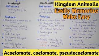 Acoelomate  Coelomate  Pdeudocoelomate  Kingdom Animalia  Class 11 [upl. by Anirbas273]