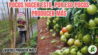 Todos deberían conocer esta técnica para tener un CULTIVO EXCELENTE Fácil [upl. by Ayat]