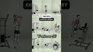 Tricep Gym Workout [upl. by Dyanna]