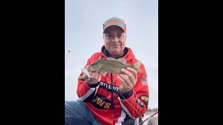 Kanawha River Smallmouth on a Whopper Plopper during our club tourney [upl. by Epolulot]